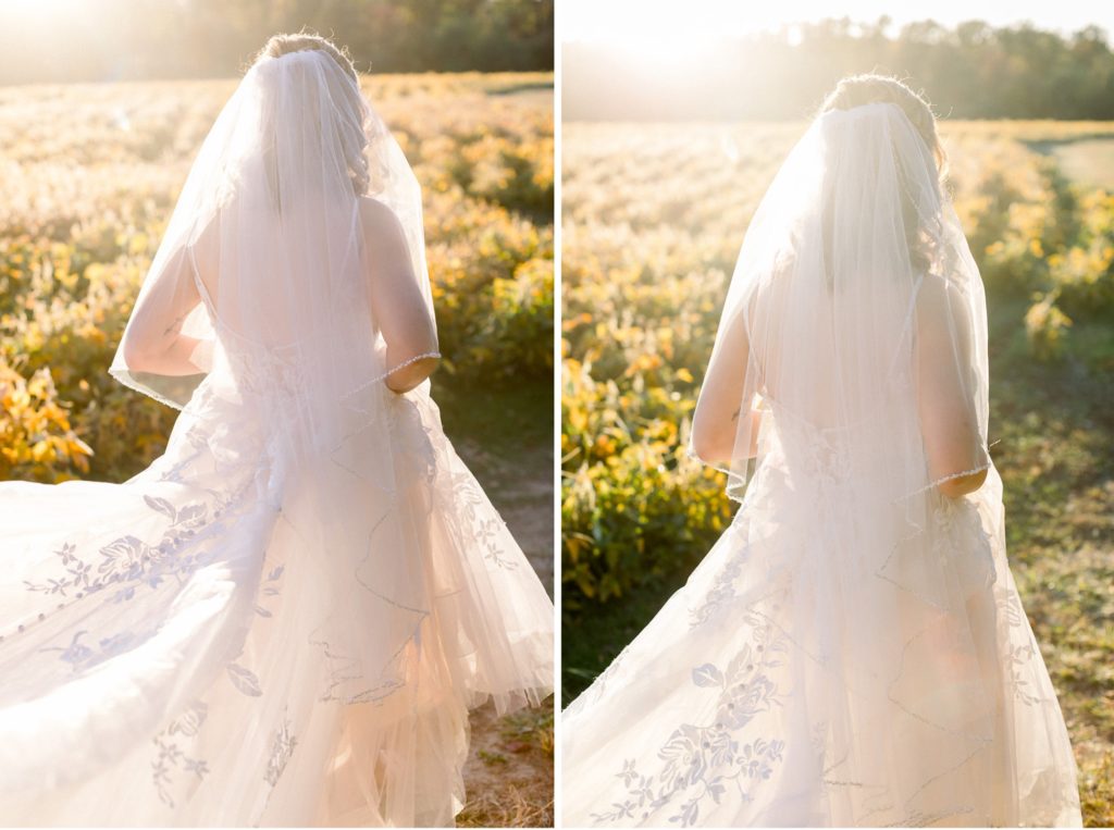 fall wedding dress, wedding dress veil
